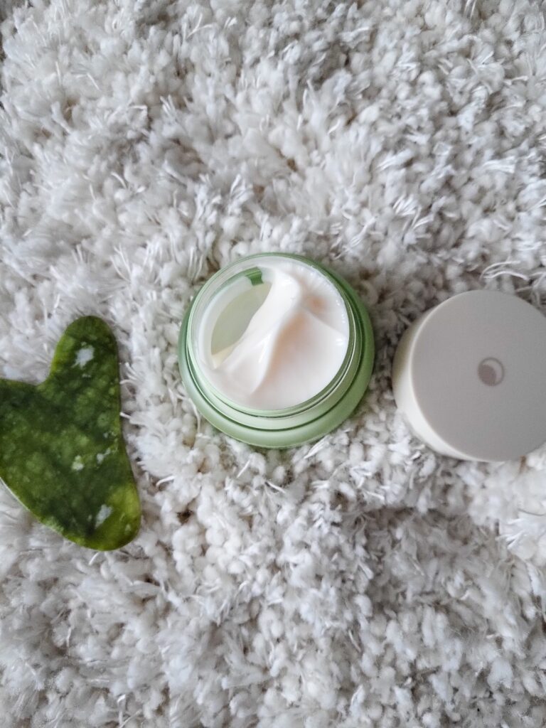 RECENSIONE CREMA NOTTE ANTIRUGHE PHYTO PLUMP MIZON